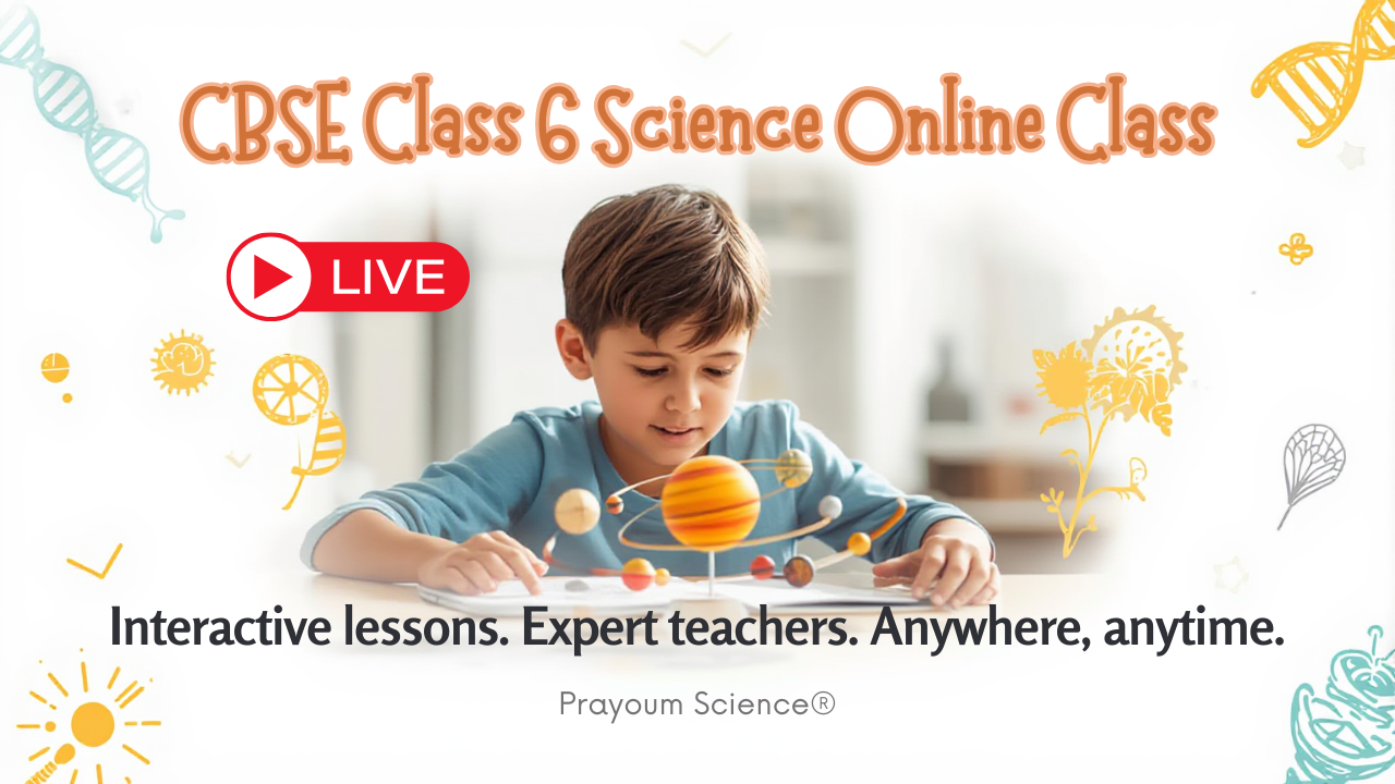 CBSE Class 6 Science Live
