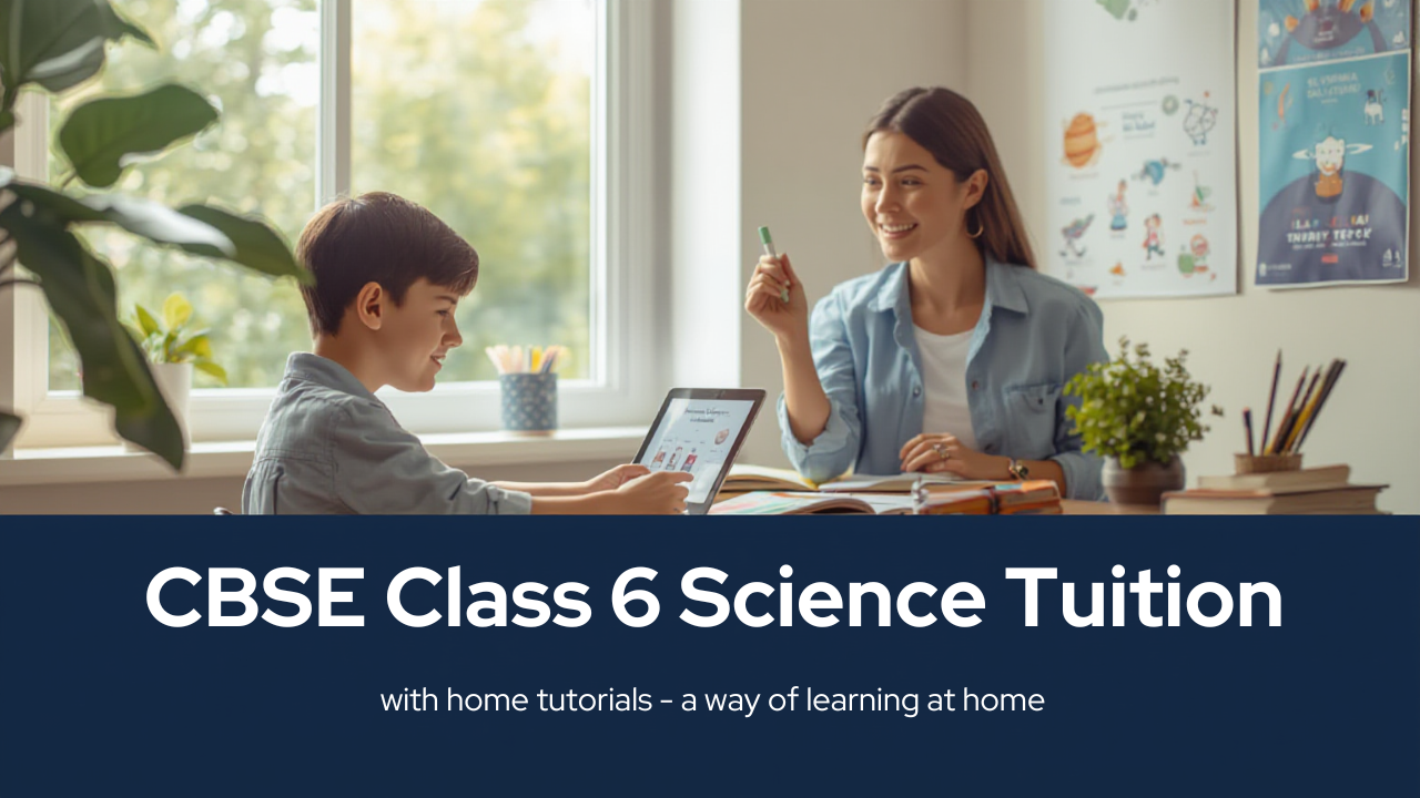 CBSE Class 6 Science HT